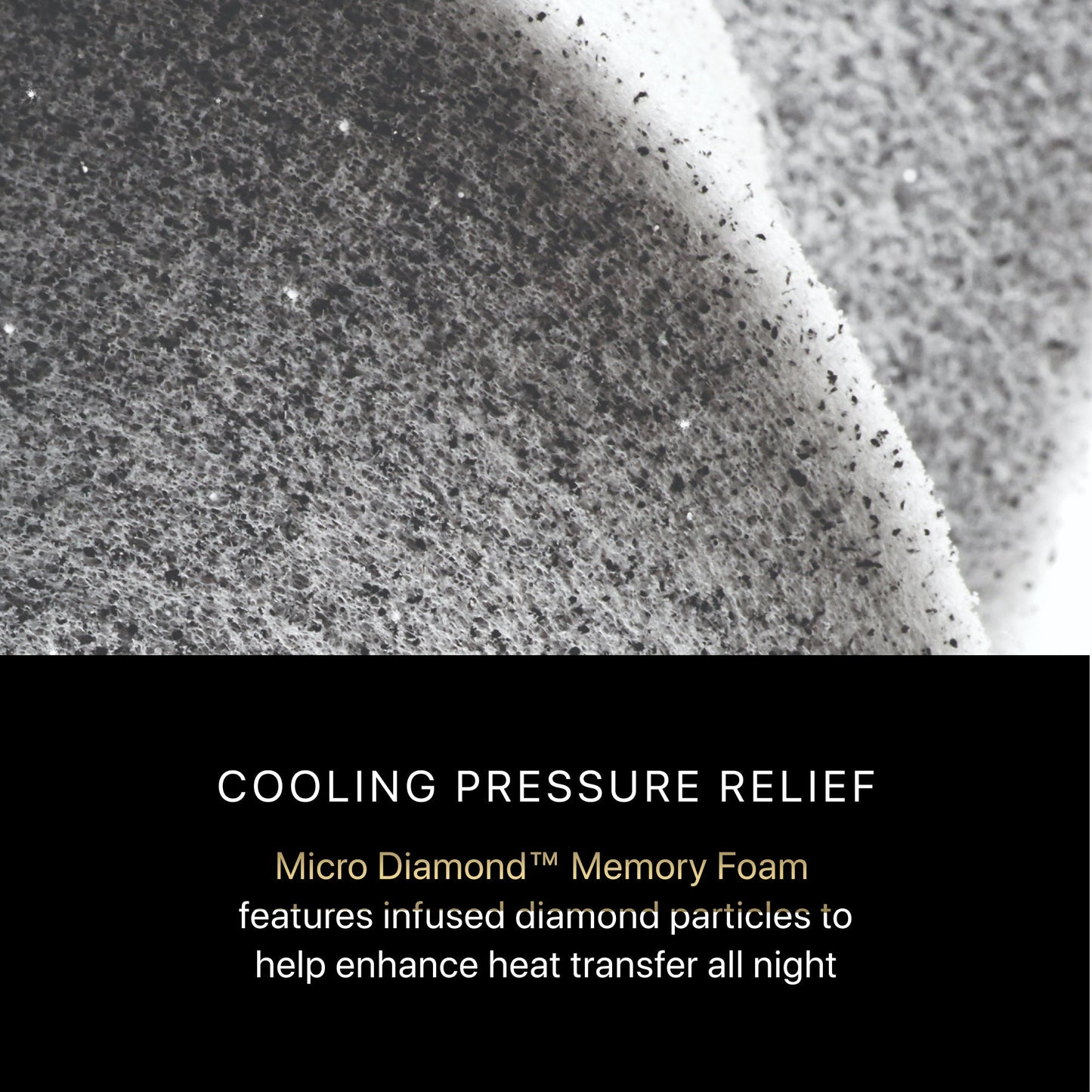 Beautyrest Black Beautyrest Black - Series Two Plush