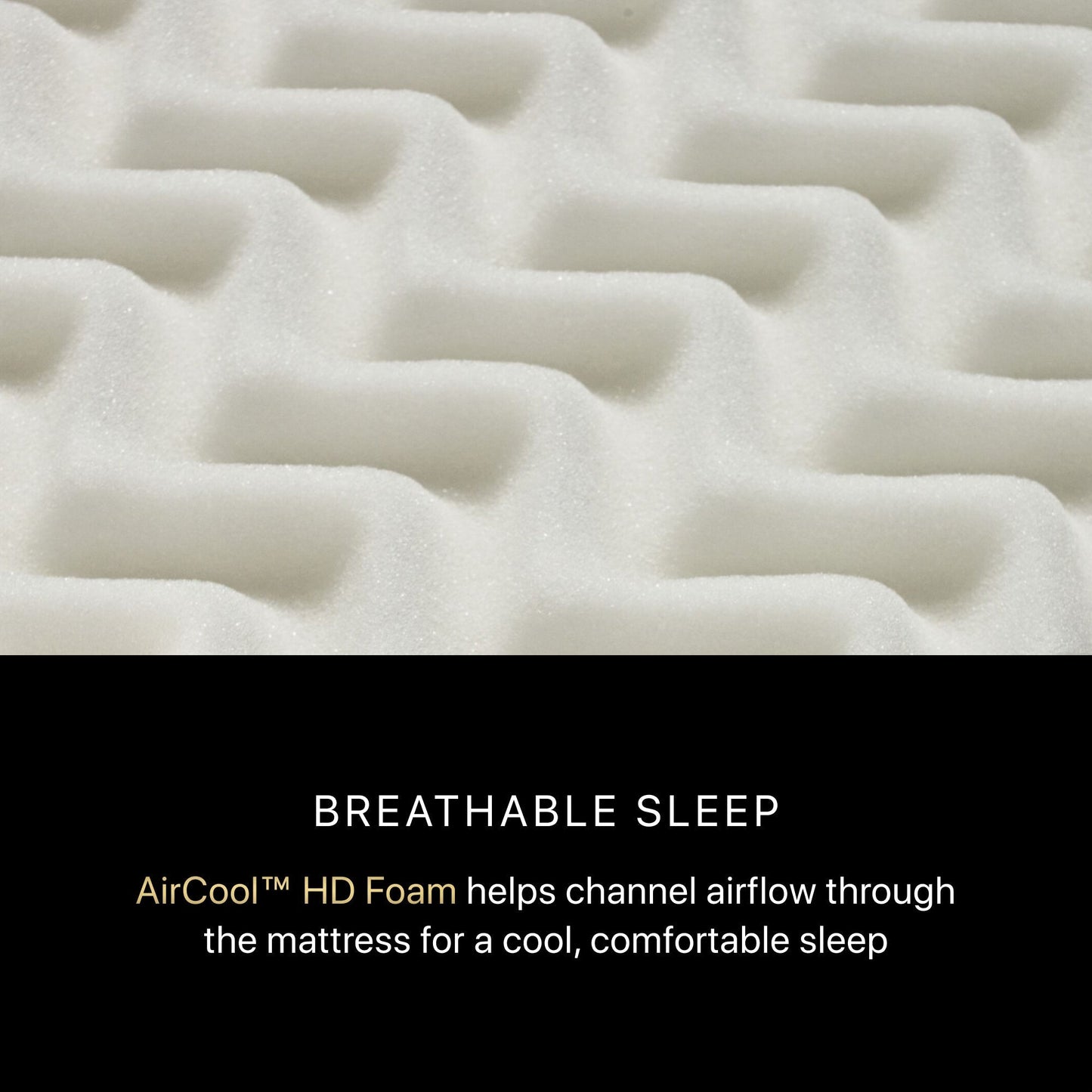 Beautyrest Black Beautyrest Black - Series One Medium