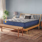 Featherton - Firm Tight Top Mattress