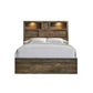 Bailey - Music Bed