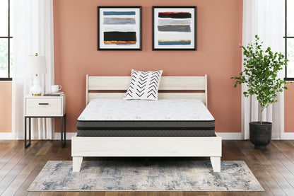 10 Inch Pocketed Hybrid  Mattress