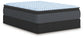 Destin Cove PT Queen Mattress